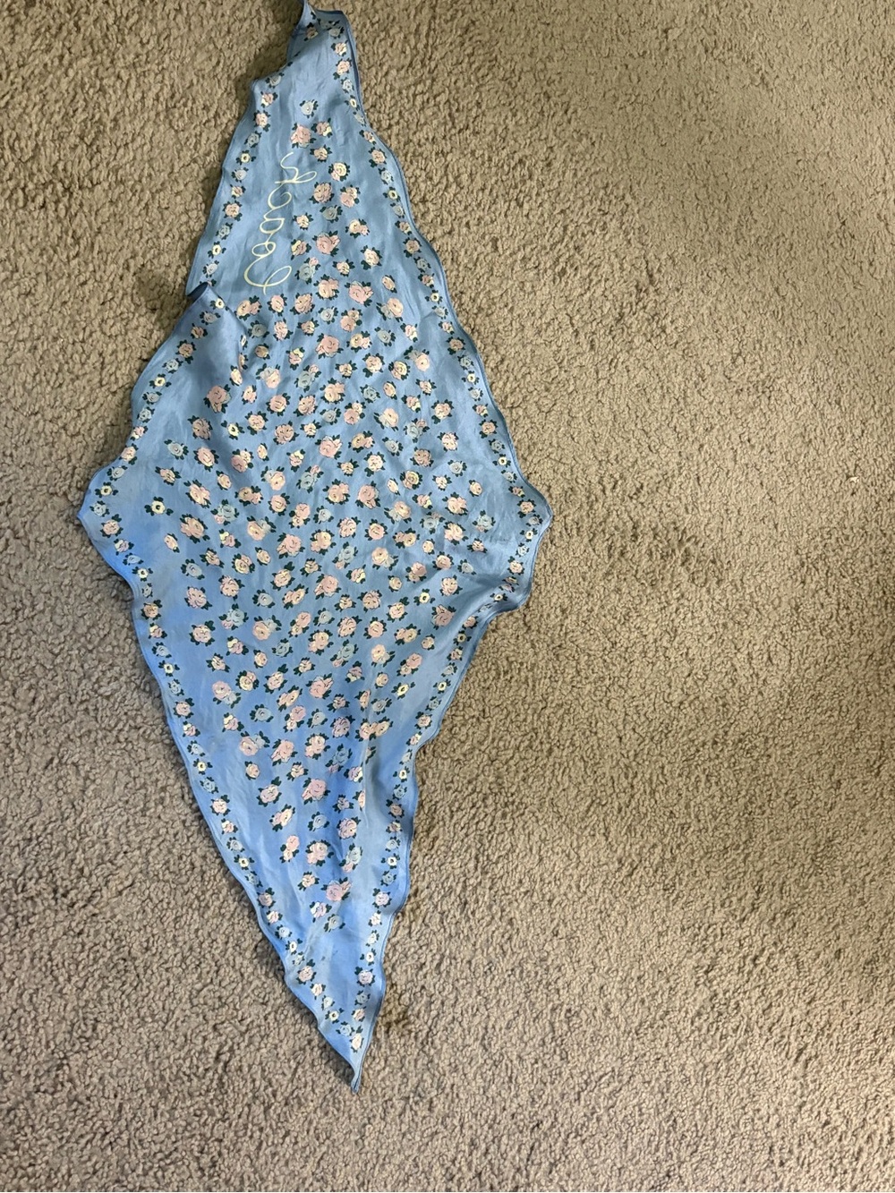Coach blue flower skinny scard